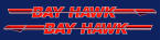 Bay Hawk Boat Reproduction Logos