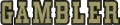 Gambler Boat Logos