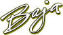 New Style Baja Boats Logos