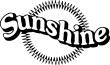 Suncruiser Sunshine Style Pontoon Boat Reproduction Decals
